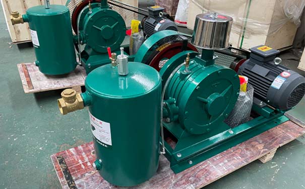 回轉(zhuǎn)式風(fēng)機(jī)